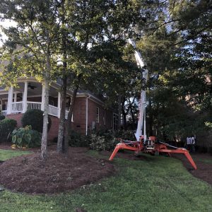 Treeworks Lift1